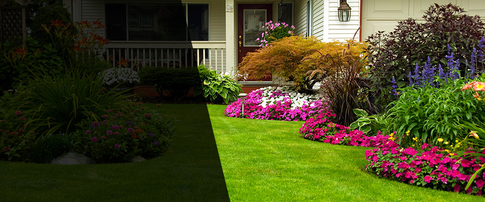 Willcox Landscapers