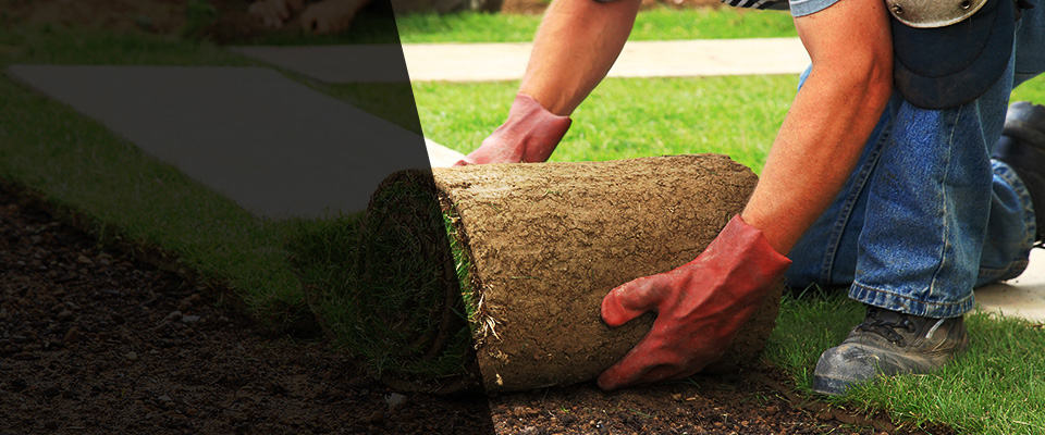 Willcox Landscapers